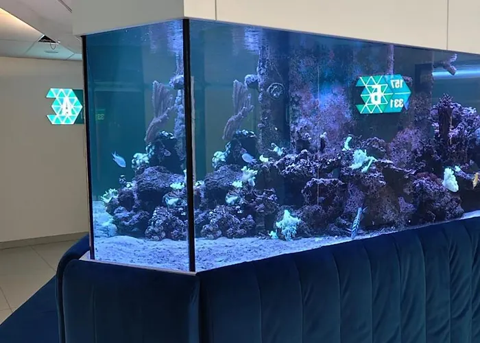 жк аквамарин золотой берег